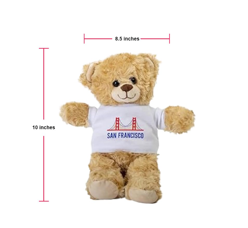 Amazon.com: SpreadPassion San Francisco Teddy Bear, Gift Stuffed